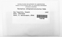 Hypomontagnella rubigineoareolata image